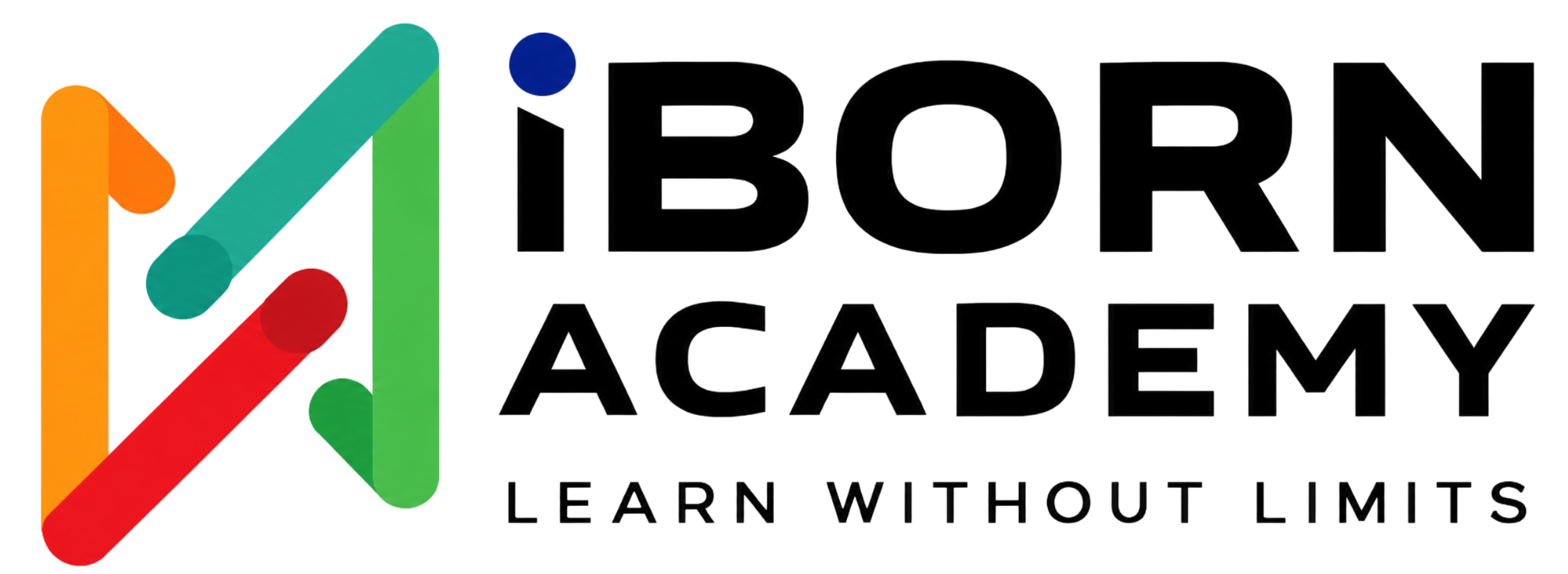 iBORN Academy logo